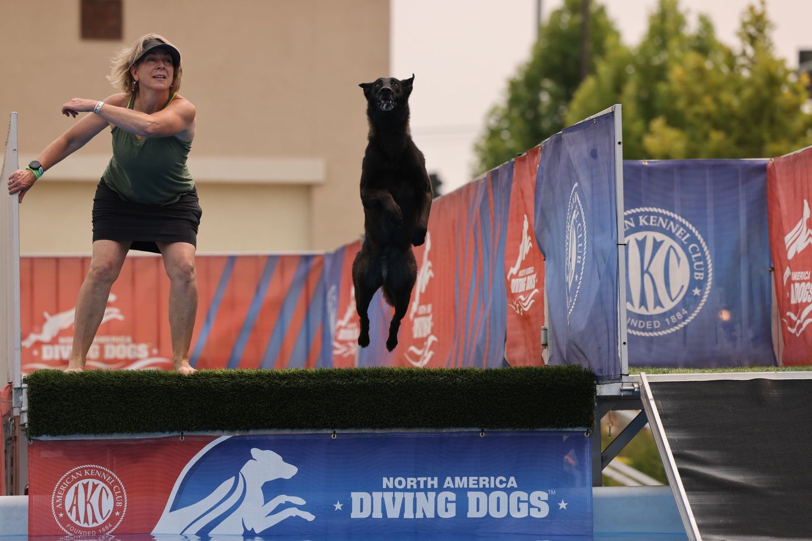 En hund hoppar högt i luften från en ramp på en hundsportstävling.